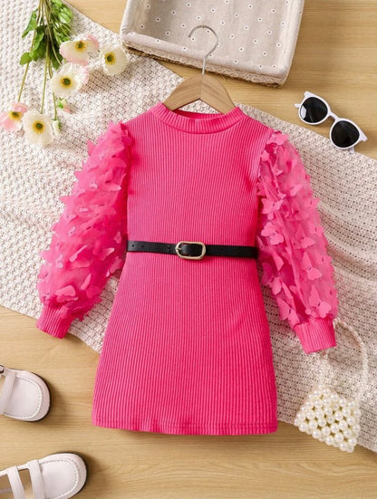 Toddler Girl Pink Dress with detailed Butterfly Mesh Sleeves Dress